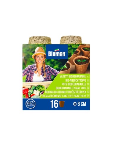Blumen kit semina 16 vasi in Cocco da 8 cm