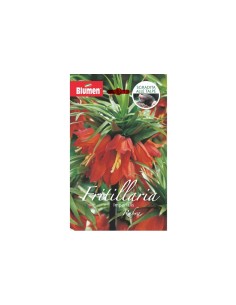 Blumen bulbi Fritillaria Imperialis Rubra 1 pz