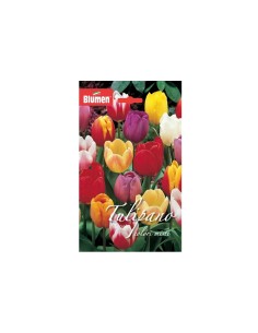 Blumen bulbi Tulipano Trionfo colori misti 6 pz