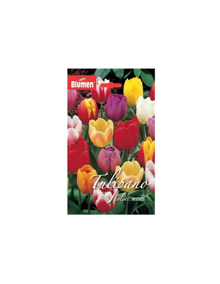 Blumen bulbi Tulipano Trionfo colori misti 6 pz