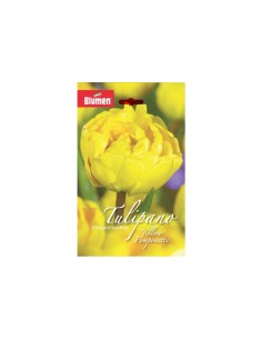 Blumen bulbi Tulipano doppio tardivo Yellow Pomponette 6 pz