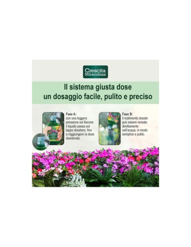 Blumen concime Universale Crescita Miracolosa...