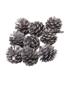Set 9 pigne per decorazioni natalizie