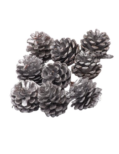 Set 9 pigne per decorazioni natalizie