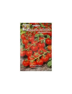 La Rosa semi orto di Pomodoro (tipologie assortite) 2