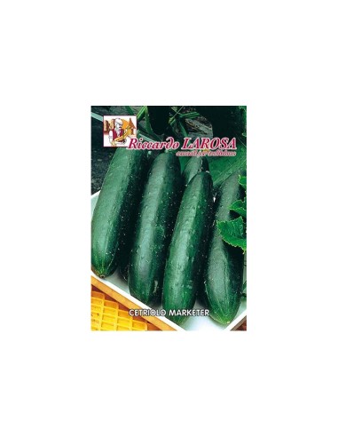 La Rosa semi orto di Cetriolo Marketer