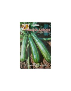 La Rosa semi orto di Zucchino Striato Pugliese