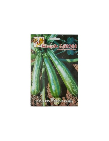 La Rosa semi orto di Zucchino Striato Pugliese