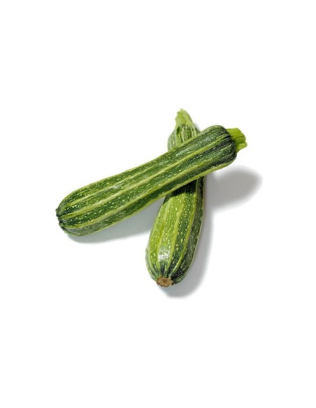 La Rosa semi orto di Zucchino Striato Pugliese