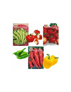 La Rosa semi orto di Peperone (tipologie assortite)