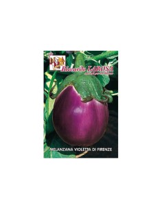 La Rosa semi orto di Melanzana Violetta di Firenze