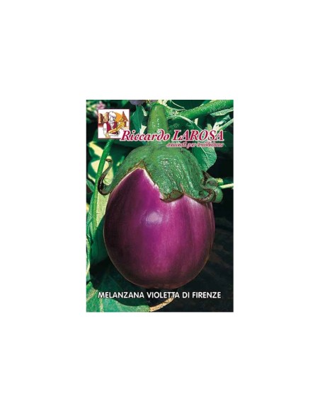 La Rosa semi orto di Melanzana Violetta di Firenze