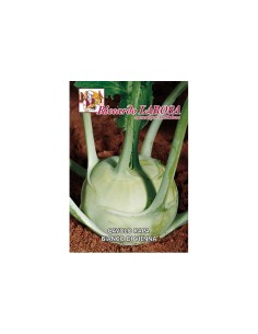 La Rosa semi orto di Cavolo Rapa di Vienna Bianco