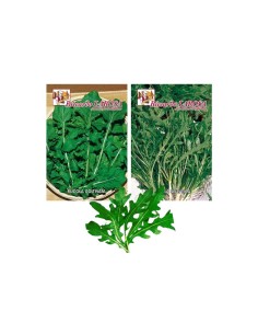 La Rosa semi orto di Rucola (tipologie assortite)