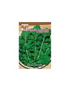 La Rosa semi orto di Rucola (tipologie assortite) 2
