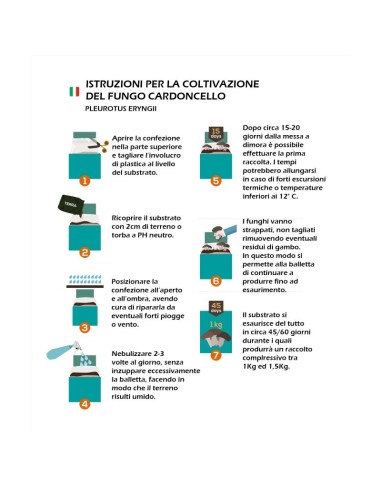 Balletta per la Produzione Professionale di...