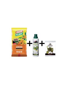 Kit terriccio agrumi 20 lt + concime agrumi 500 ml +...