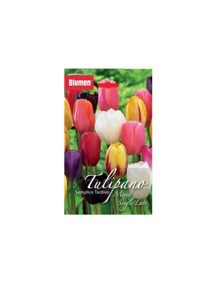 Blumen bulbi tulipano Single Late mix 5 pz