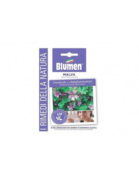 SEMI BLUMEN MALVA
