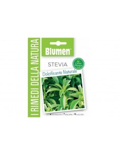 SEMI BLUMEN STEVIA