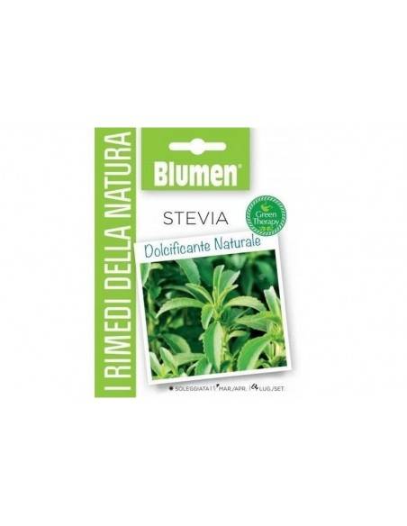 SEMI BLUMEN STEVIA
