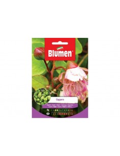 SEMI BLUMEN CAPPERO