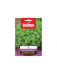 SEMI BLUMEN BASILICO NANO