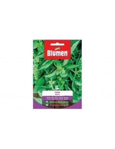SEMI BLUMEN BASILICO LEMON