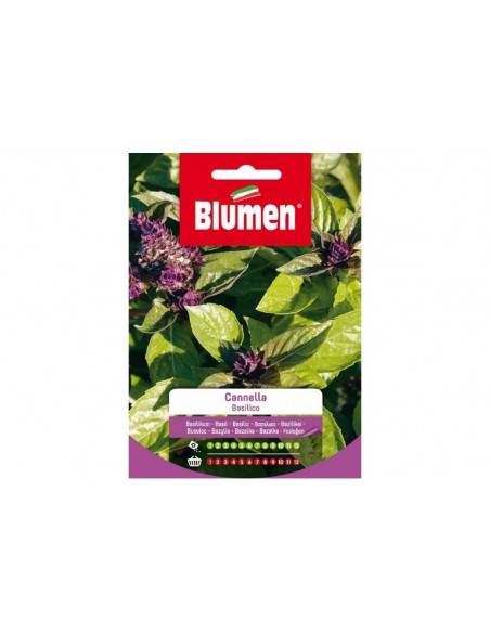 SEMI BLUMEN BASILICO CANNELLA
