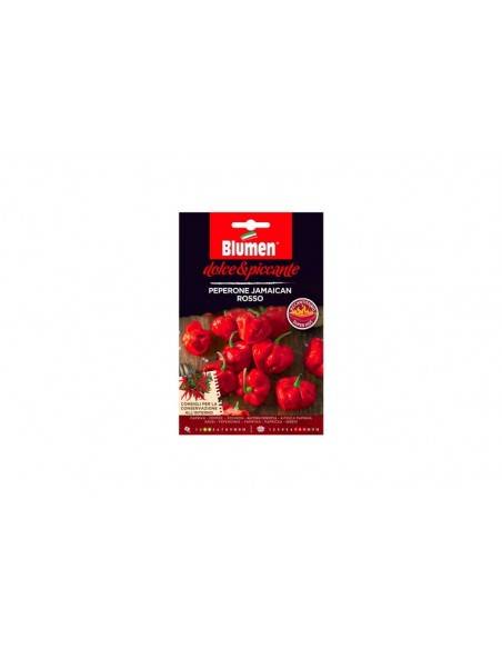 SEMI BLUMEN PEP. JAMAICAN ROSSO