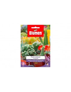 SEMI BLUMEN PIANTE CACTACEE IN MIX