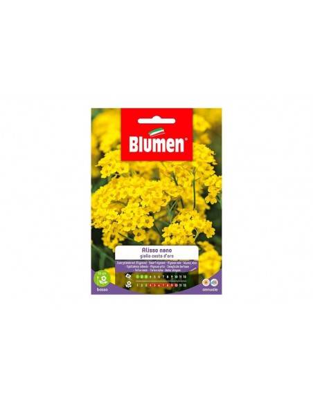 SEMI BLUMEN ALLISSO NANO GIALLO