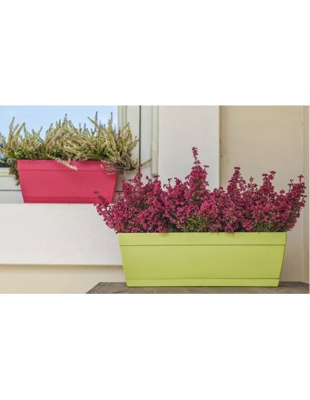 VASO SETMINI 30 CHERRY