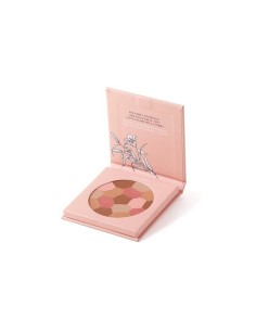 Astra Pure Beauty Mosaic Face Powder Mother Earth N° 01