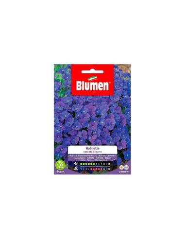 Semi Blumen Aurbrezia cascata azzurra