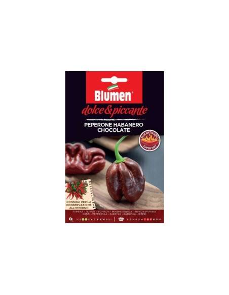SEMI BLUMEN PEP. HABANERO CHOCO