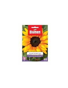 Semi Blumen girasole Twilight Zone 2