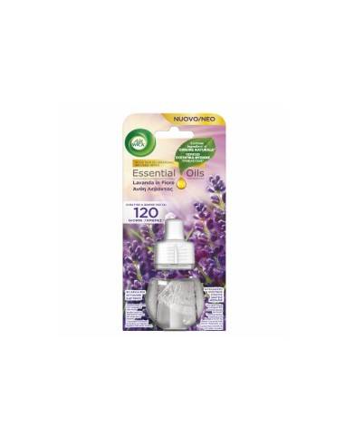 Air Wick ricarica per diffusore elettrico Lavanda in fiore 19 ml