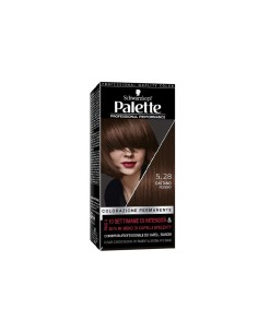 Taft Palette colorazione permanente Castano Rosso 5_28