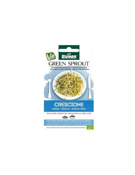 Blumen Green Sprout semi germoglio di Crescione Bio 40 gr
