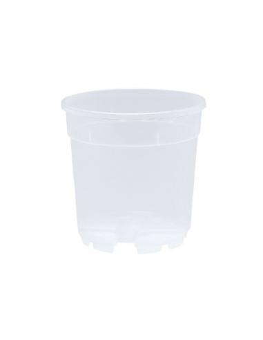 Vaso Pa Eco Container per Orchidee Trasparente...