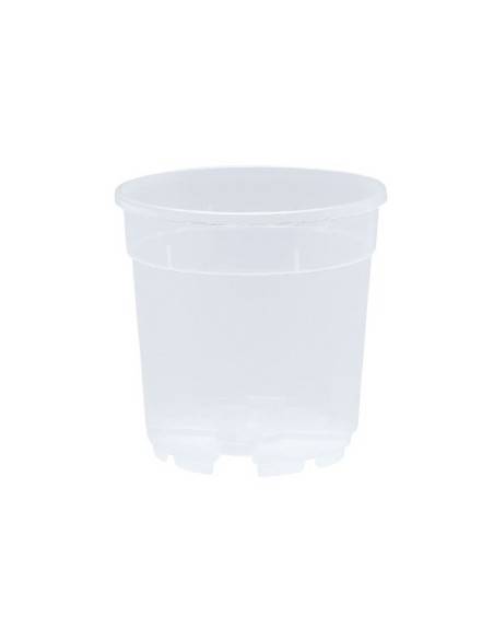 Vaso Pa Eco Container per Orchidee Trasparente diametro 14 cm