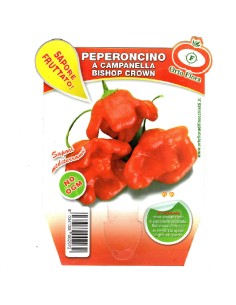Ortoflora pianta Peperoncino a Campanella Bishop Crown...