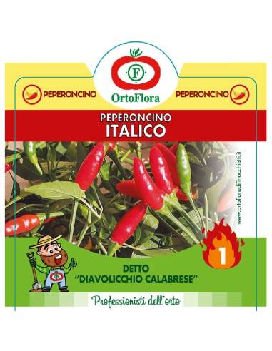 Ortoflora pianta Peperoncino Italico vaso 14 cm