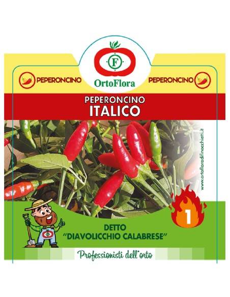 Ortoflora pianta Peperoncino Italico vaso 14 cm