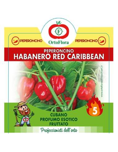 Ortoflora pianta Peperoncino Habanero Red...
