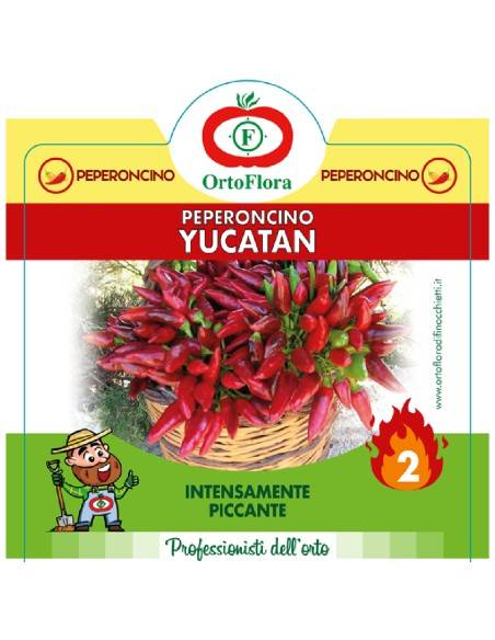 Ortoflora pianta Peperoncino Yucatan vaso 14 cm