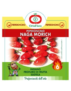 Ortoflora pianta Peperoncino Naga Morich vaso 14 cm