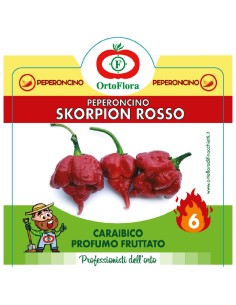 Ortoflora pianta Peperoncino Skorpion Rosso vaso 14 cm