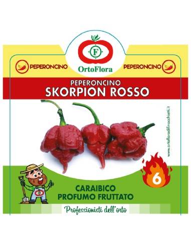 Ortoflora pianta Peperoncino Skorpion Rosso...